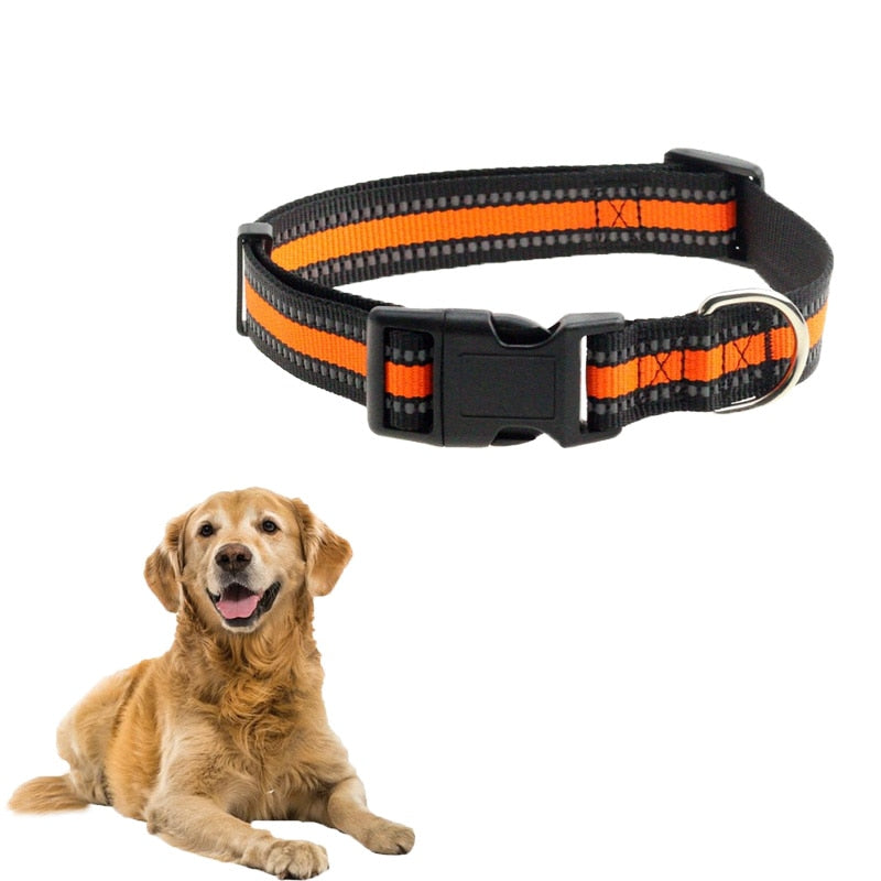 Personalised Pet Harness - Classic Chewnel - in a variety of Colours  [IDPHar999_Chewnel] - $49.95 : IDPET, Personalised Pet Products with  Personality